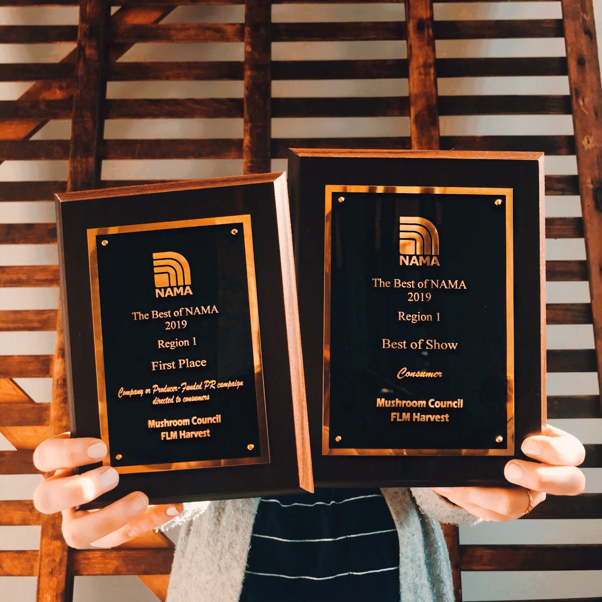 Curious_Plot's tweet photo. Pins for the win! We’re thrilled to bring home the hardware from @theshowmn and @officialNAMA for our work with Bayer, Ohio Soy, NWPB + Mushroom Council. 

Thanks to our incredible team, client partners, and @adfedmn for hosting the biggest event for our ad community! #winthepin https://t.co/UHGPH6PmE4