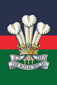 VCTrustee's tweet photo. 3 more cases today from our @PoppyLegion colleagues 

1 case for a veteran of the #RoyalLogisticsCorps 

1 for an #RAF veteran and their dog

1 for a veteran of the Royal Welsh Fusiliers 

#TeamVeteran #VeteransMonth https://t.co/VxXpGqyalu