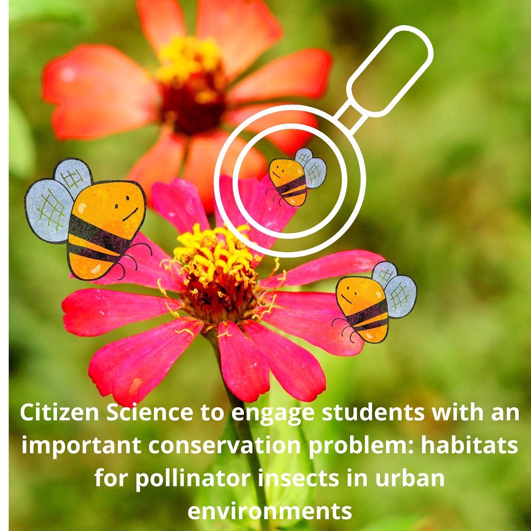 hungry4science's tweet photo. Head over to our Instagram page to read about a #citizenscience project ➡️ https://t.co/FL7k6PVfEk #hungry4science https://t.co/ZVe6ge2fwT