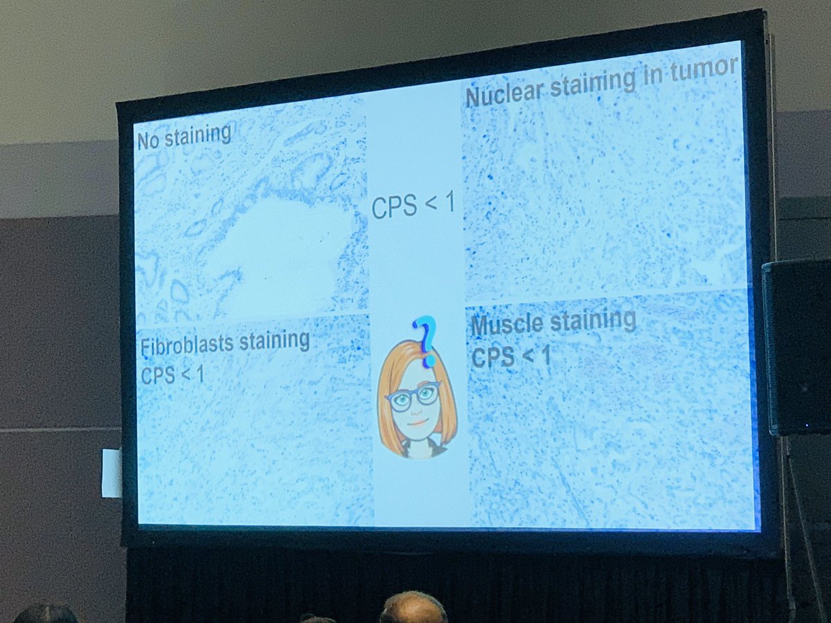 Christina Arnold, MD🦋 tweet media