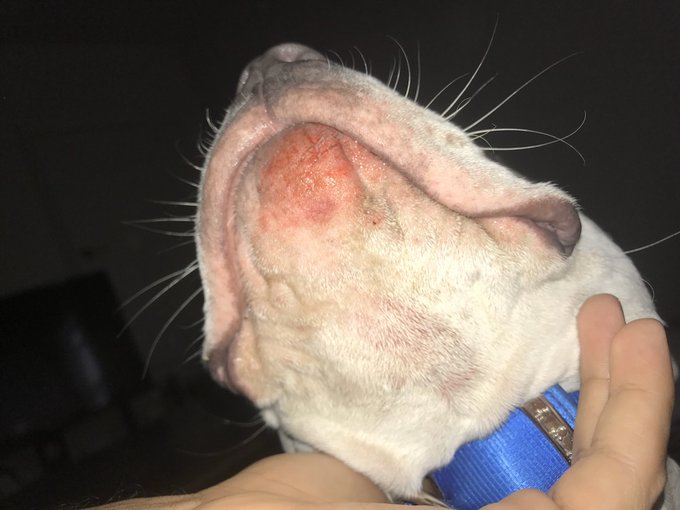 Watch genbxnz♡'s leaked NSFW photo on TwXstars