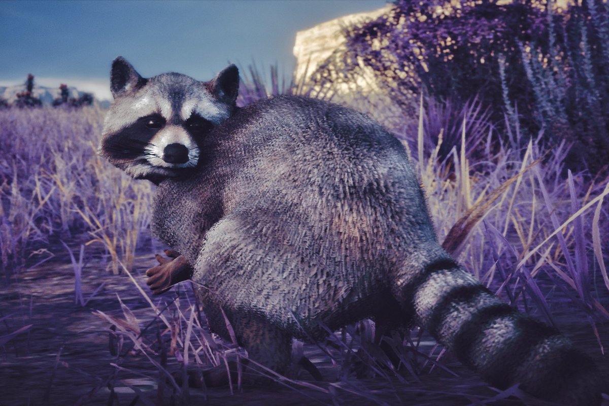 ImmortalisSol's tweet photo. Welcome to Purple Dead Redemption 2 💜
@RockstarGames #reddeadredemption2 #reddead #rdr2 #RDR2Photomode #societyofvirtualphotographers #virtualphotography #gamephotography #gamingphotography #ingamephotography #ps4pro https://t.co/2Yh2sSFt6L