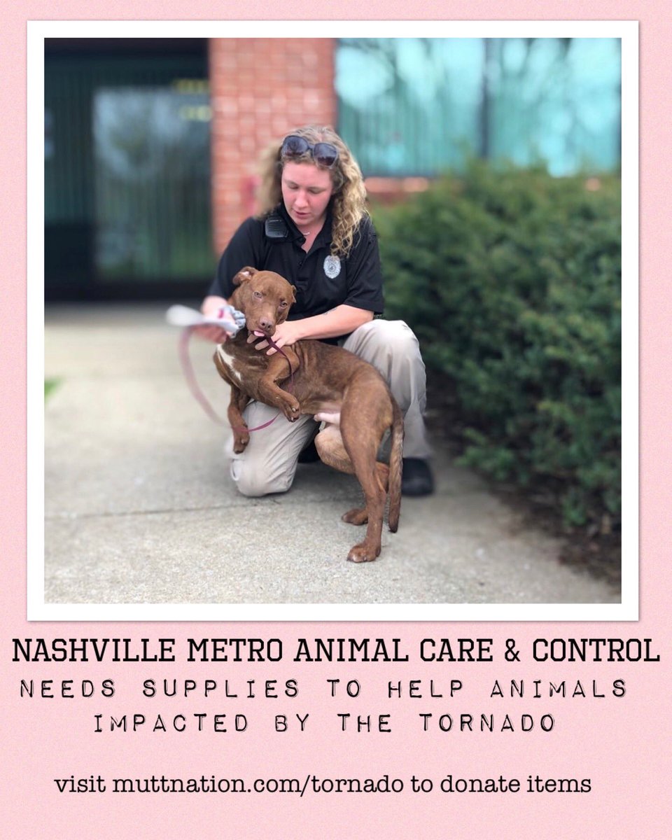 Metro Animal Care &amp; Control is working hard to help animals impacted by the tornado in Nashville. MuttNation and <a href="/mirandalambert/">Miranda Lambert</a> are supporting their efforts and appreciate y’all doing anything you can to help fur babies in need, too!! #NashvilleStrong
muttnation.com/tornado