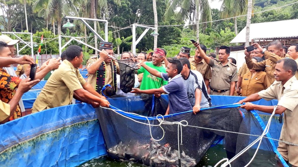 bbpbat_sukabumi's tweet photo. Panen ikan nila di Seminari Kisol, Kab. Manggarai Timur. 2 Maret 2020. Dihadiri oleh Bapak Bupati Kab. Manggarai Timur.
#Pronas 2019: Budidaya Ikan Nila Sistem Bioflok.
@Edhy_Prabowo @s_soebjakto
@kkpgoid @BudidayaKKP https://t.co/yglNLbcEKu