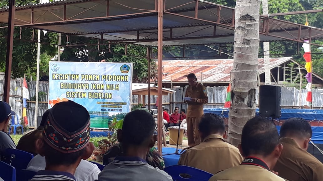 bbpbat_sukabumi's tweet photo. Panen ikan nila di Seminari Kisol, Kab. Manggarai Timur. 2 Maret 2020. Dihadiri oleh Bapak Bupati Kab. Manggarai Timur.
#Pronas 2019: Budidaya Ikan Nila Sistem Bioflok.
@Edhy_Prabowo @s_soebjakto
@kkpgoid @BudidayaKKP https://t.co/yglNLbcEKu