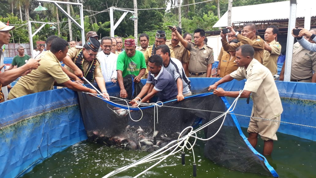 bbpbat_sukabumi's tweet photo. Panen ikan nila di Seminari Kisol, Kab. Manggarai Timur. 2 Maret 2020. Dihadiri oleh Bapak Bupati Kab. Manggarai Timur.
#Pronas 2019: Budidaya Ikan Nila Sistem Bioflok.
@Edhy_Prabowo @s_soebjakto
@kkpgoid @BudidayaKKP https://t.co/yglNLbcEKu