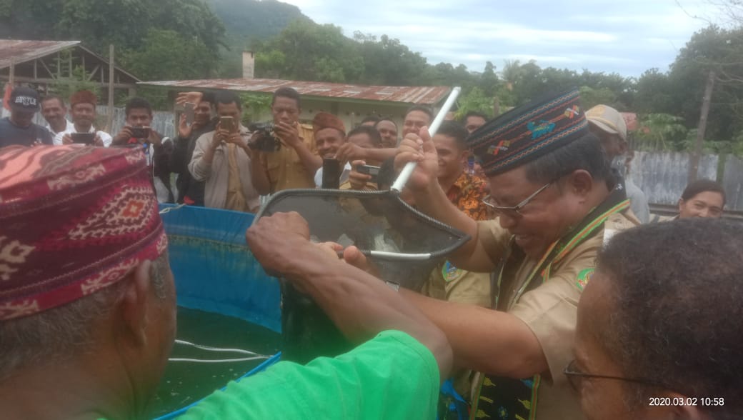 bbpbat_sukabumi's tweet photo. Panen ikan nila di Seminari Kisol, Kab. Manggarai Timur. 2 Maret 2020. Dihadiri oleh Bapak Bupati Kab. Manggarai Timur.
#Pronas 2019: Budidaya Ikan Nila Sistem Bioflok.
@Edhy_Prabowo @s_soebjakto
@kkpgoid @BudidayaKKP https://t.co/yglNLbcEKu