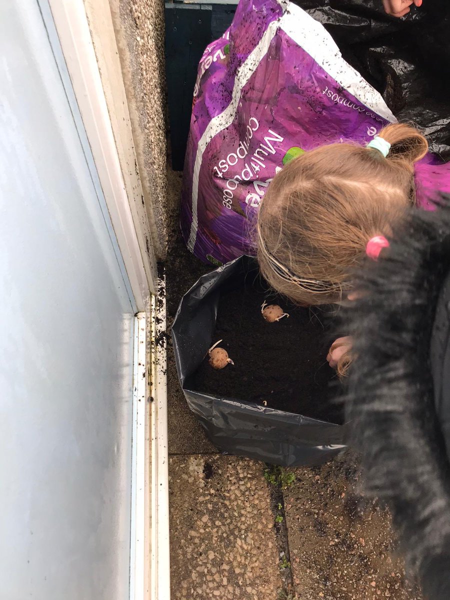Hendrefoilan's tweet photo. Some of the Year 4 children planting their potatoes. @potatoes4school #hdfpy4 https://t.co/TBCsZUdtC6