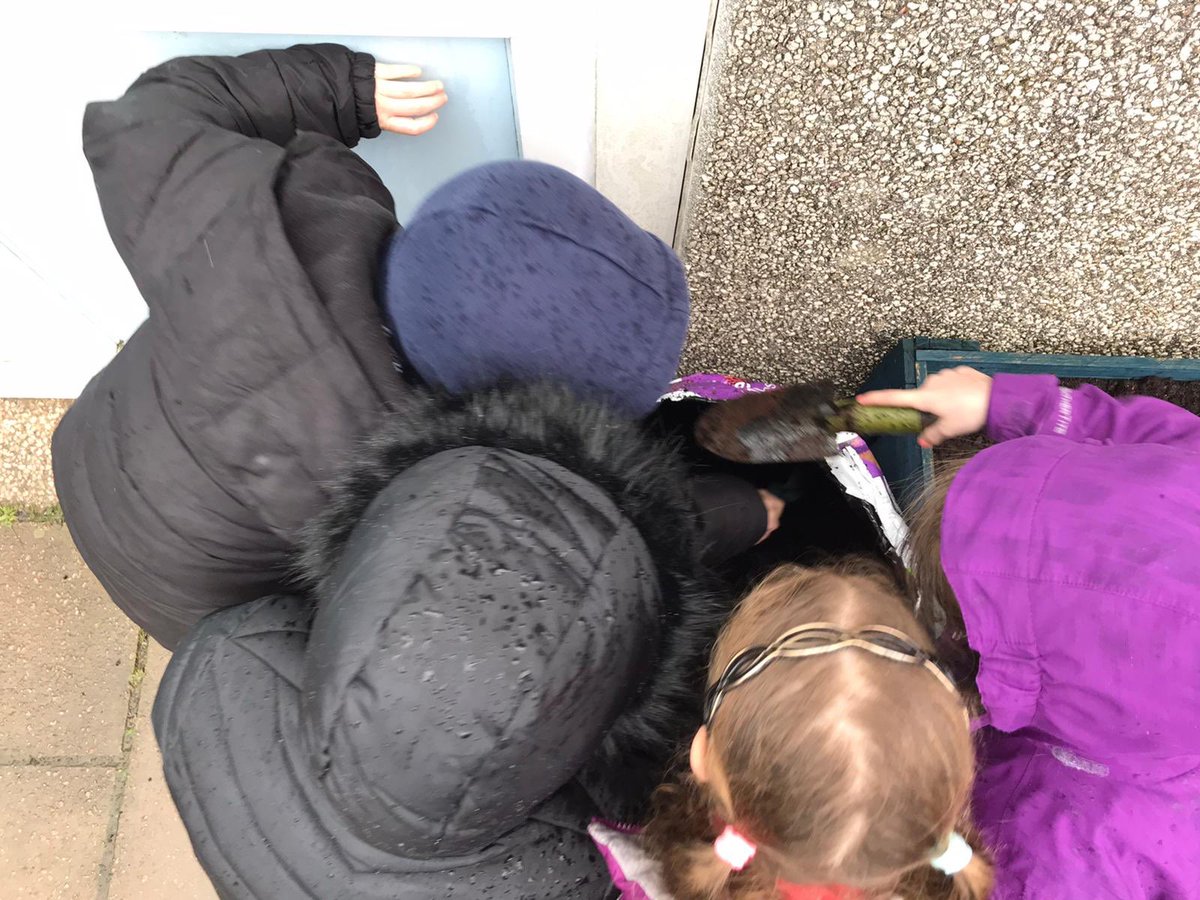 Hendrefoilan's tweet photo. Some of the Year 4 children planting their potatoes. @potatoes4school #hdfpy4 https://t.co/TBCsZUdtC6