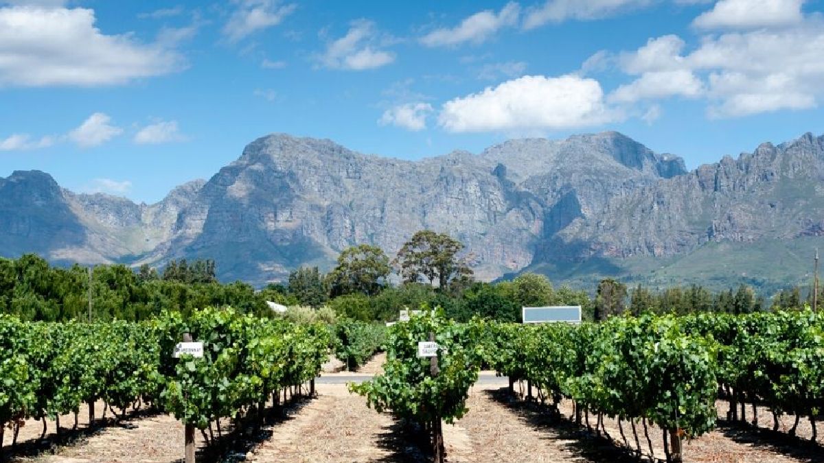 duckhornwine's tweet photo. "The airy estate of Duckhorn Vineyards offers some of the most alluring vineyard views, and its wraparound veranda gives you the shade you need to enjoy the wine." Thank you @aDesignTourist  for including us in your must-visit wineries round-up!"
https://t.co/dddTY1Bpr7 https://t.co/89bZH8v9Dl