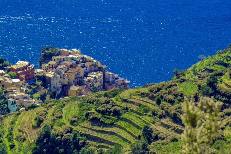 arbaspaa's tweet photo. 📍 Morning hike from Manarola
🚶‍♂️Hiking excursion from Manarola to Corniglia passing through the wonderful vineyards of Volastra. With local guide.
💰From 69€ per person!
📲Book now: 👉 https://t.co/ZbxLYNk8Ez https://t.co/26XwIpVgUP