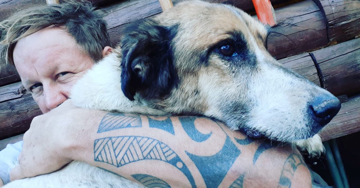 MarianoOses's tweet photo. Hoy cumple Años Mi Hermano. Mi amigo. Mi compañero de estos Últimos 17 años 
Hoy cumple años Mi Primer Canichon de la Calle. Hoy cumple Años Betho. El Perro que me Rescato a mi

Gracias Hermano. Gracias por Tanto.

Beethoven feliz cumple !!!
Polaco....Un abrazo !! https://t.co/guYuggAaZ6