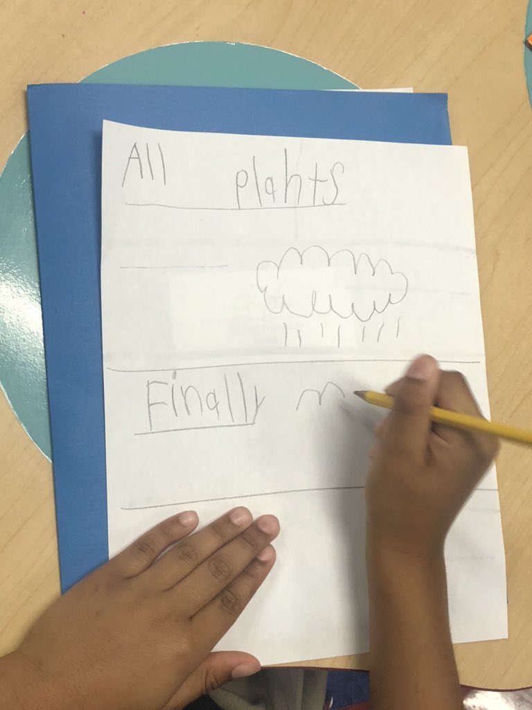 AMAElementary's tweet photo. Kinder students learned about Traffic Light Transitions. It is a great way to help students organize their writing and enhance the quality of their informational text. #edchat #Kindergarten #kinderwriting #kindergartenteacher #privateelementary https://t.co/7beNEIEG4k