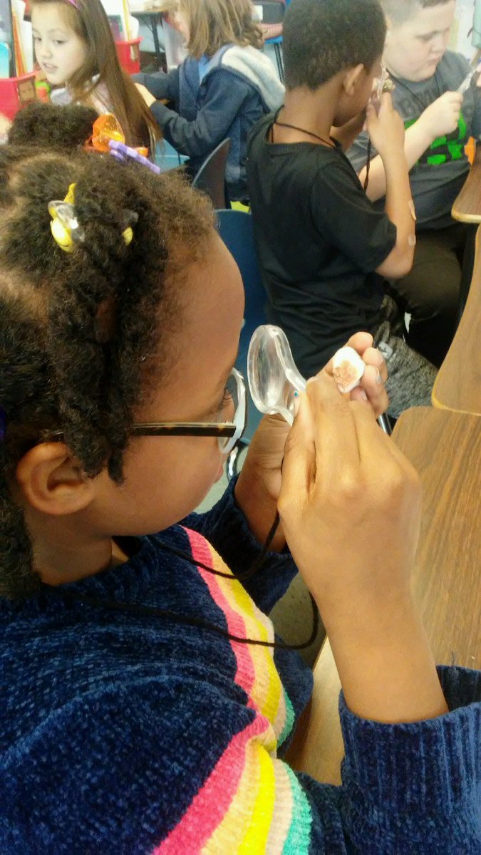 SamHouston1982's tweet photo. Classifying rocks in Mrs. Spoor's 2nd grade class. #TexansLearning https://t.co/PUdJ9gMtbt