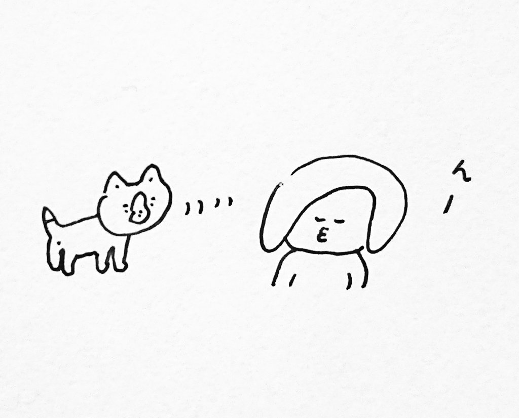 今朝 