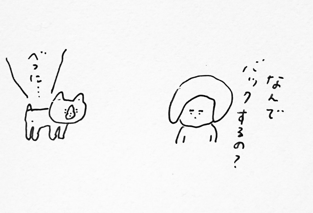 今朝 