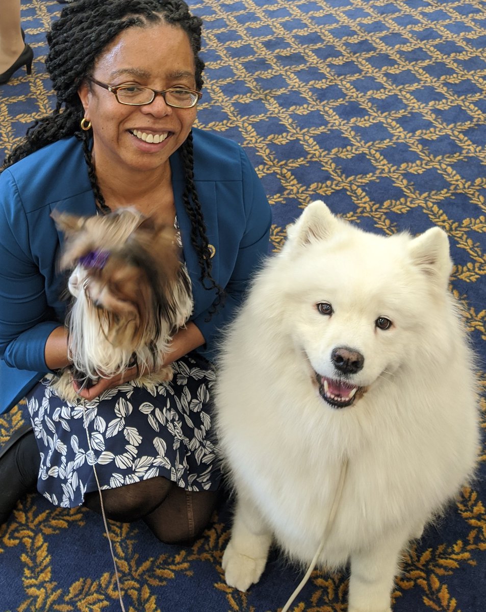 RobbynLewis46th's tweet image. Today the American Kennel Club held it's annual Canines in the Capital Day! Running from floor to Committee I made a point to stop by and meet all the good bois &amp;amp; girls. ♥️🐕🐾 @akcdoglovers #Cuddles4MD #MDGA2020