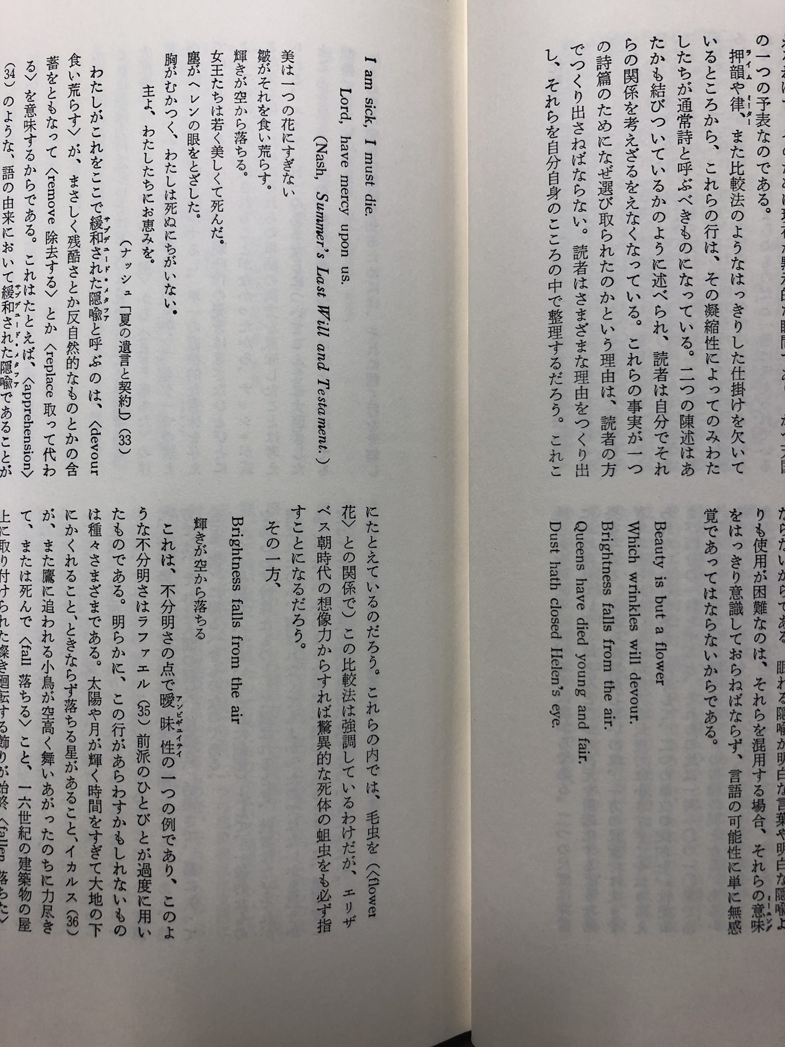 岡和田晃 新刊 Nlq25 病疾に蠢く死の舞踏 が出ました ウィリアム エンプソンの 曖昧な七つの型 では いきなりトマス ナッシュのsummer S Last Will And Testament が引用されます