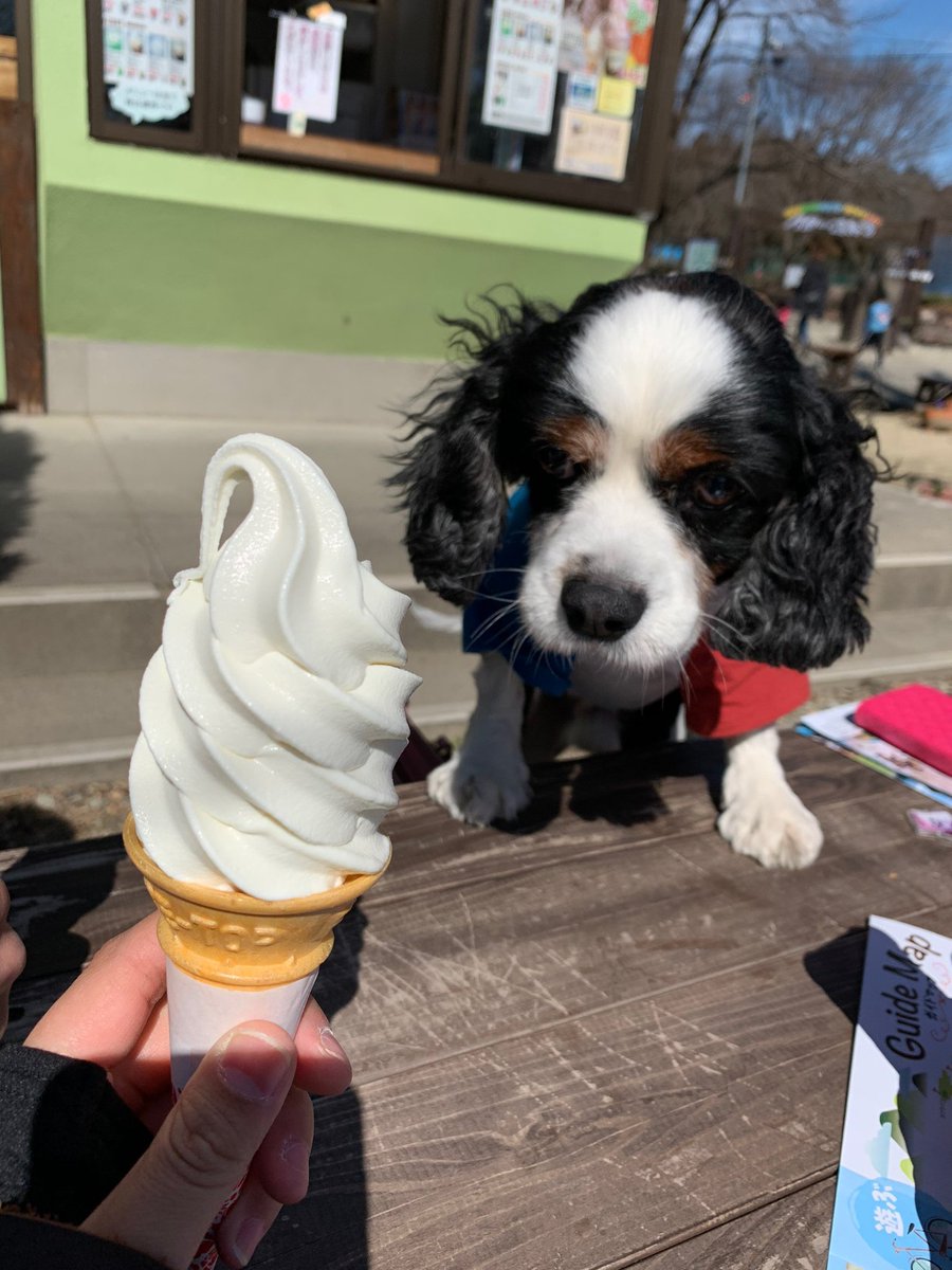 الوسم 那須千本松牧場 على تويتر