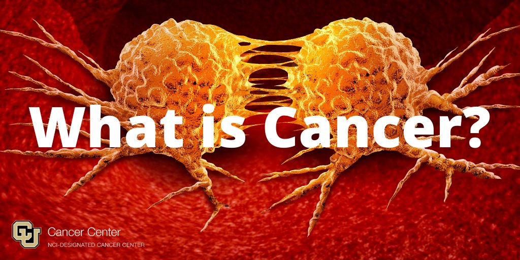 CUCancerCenter's tweet photo. What is Cancer? In the latest edition of C3 Magazine, we dive in to the disease: https://t.co/aAkuvOuHUv #cancer #cucancercenter #whatiscancer https://t.co/4nYNX0ooni