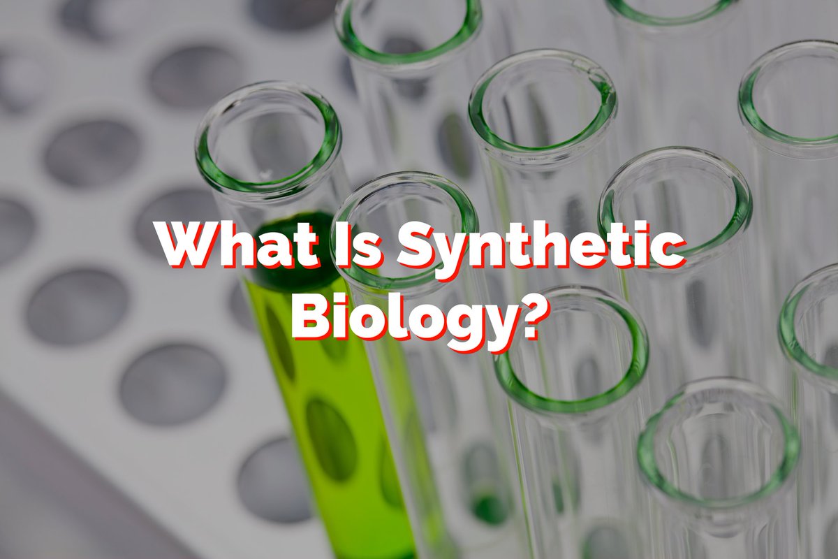 catalyst56_'s tweet photo. 4 types of synthetic biology: CAR T-Cell (combine CAR / T-cell to target and fight cancer), Conjugate Therapy (combine antibody with chemotherapy), RNA therapeutic (combine RNA to interfere with gene function), Gene therapy (DNA inside of a virus used to deliver DNA into cells) https://t.co/9gPrj1RVey
