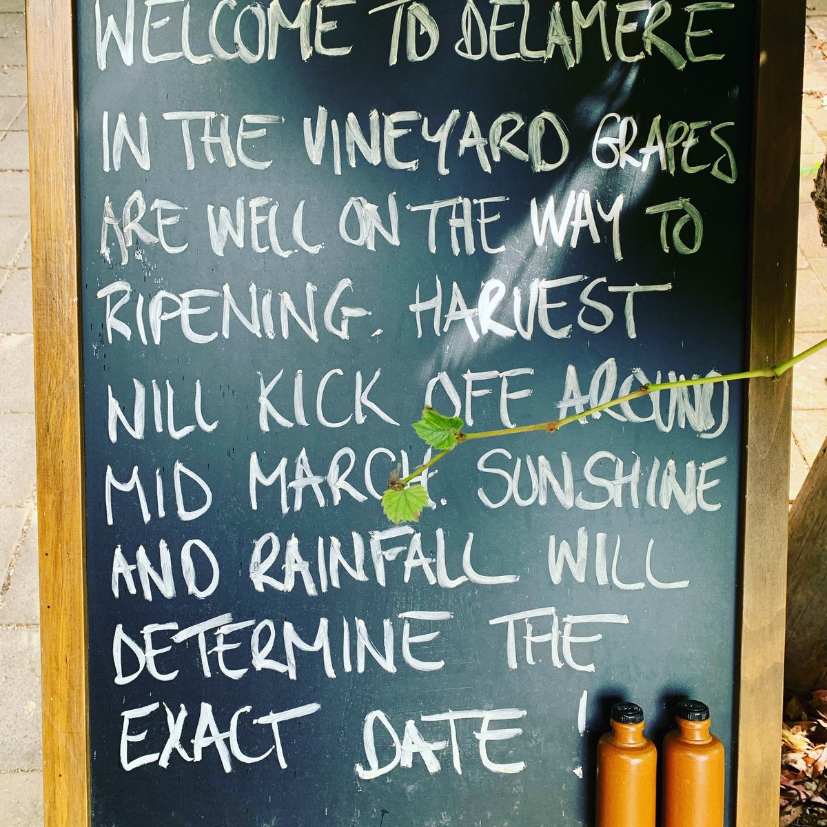 vanoudsdelft's tweet photo. Proeven maarrrrr! #2Kruikjes #cafevanoudsdelft #delft #molslaandelft #delamerevineyard #tassie https://t.co/dekmmZUqQJ