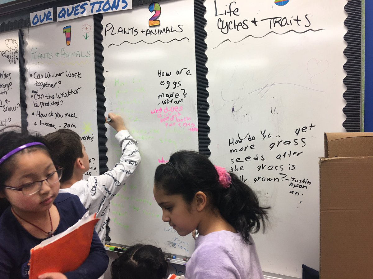 MrsRokosD53's tweet photo. Everyone’s loving the question board! Have a question we didn’t have time to answer? Put it on the board. Does the teacher need to research the answer and get back to you? Put it on the board! We’re all learning together. #d53learns https://t.co/KeUnX8eutK