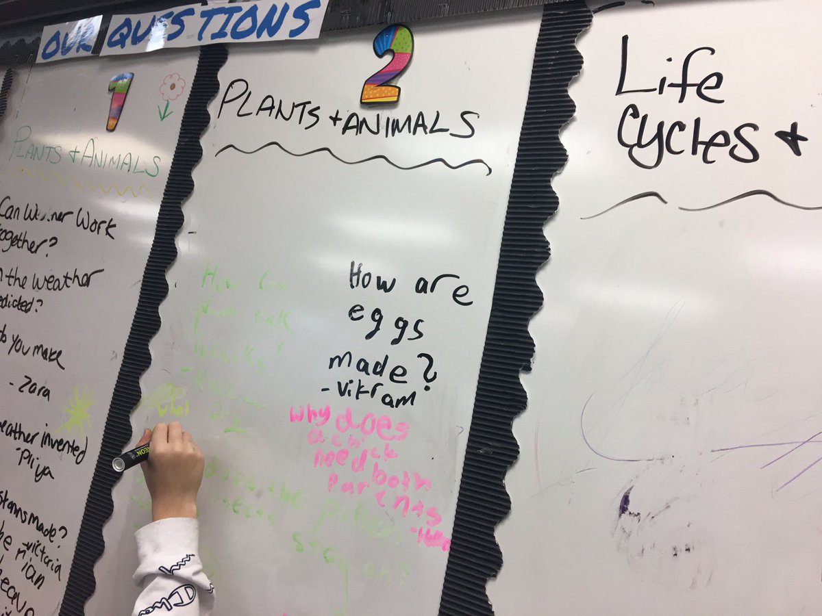 MrsRokosD53's tweet photo. Everyone’s loving the question board! Have a question we didn’t have time to answer? Put it on the board. Does the teacher need to research the answer and get back to you? Put it on the board! We’re all learning together. #d53learns https://t.co/KeUnX8eutK