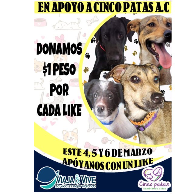 Agencia de Viajes Viaja y Vive ahora es la quinta pata y ha creado una dinámica para recaudar fondos y ¡tu nos puedes ayudar!
Por cada nuevo like a su página obtenido del 4 al 6 de marzo nos donará un peso. Ayúdanos a juntar muchos. 🙏🏽💜
facebook.com/ViajayViveMeri…
