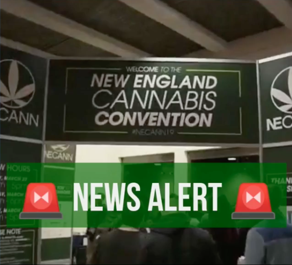 The largest most important cannabis industry event is happening in Boston March 20-22.  This event will feature cannabis growers, consumers, and business cultivators across the New England region.  Head over to thesocialweed.com for more information. 

<a href="/NE_CANN/">NECANN</a>