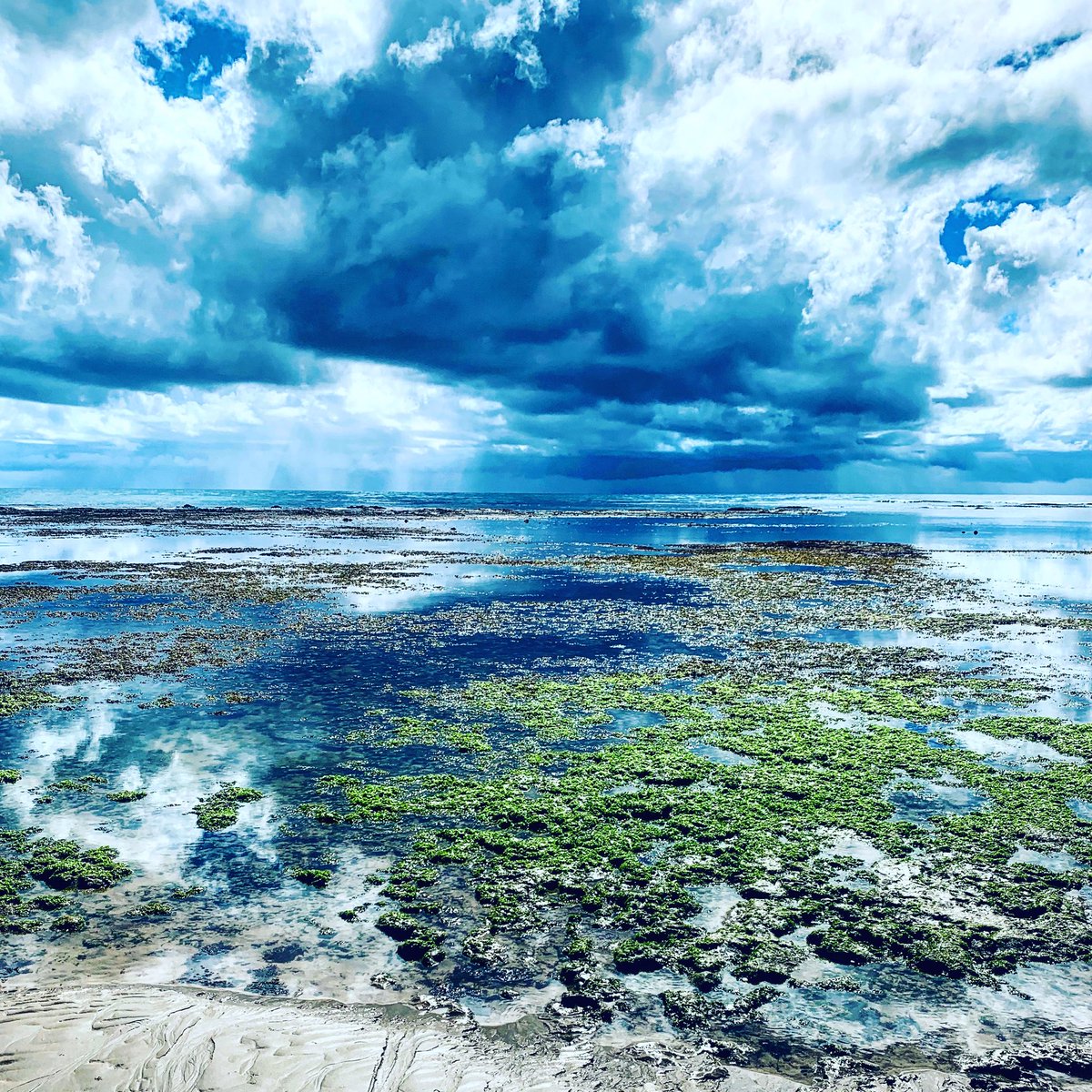 paulocbastos's tweet photo. #BoaNoite/#FelizAmanhã 

“E do mar sobre as escumas, 
E do céu por sobre as brumas” 
(Castro Alves)

#mar #sea #escuma #scum #céu #sky #bruma #fog #nuvens #clouds #horizonte #horizon #arrecifes #reefs #vista #view #gratidão #gratitude #goodnight #happytomorrow #foto #photo https://t.co/hZ7fTcpBzp