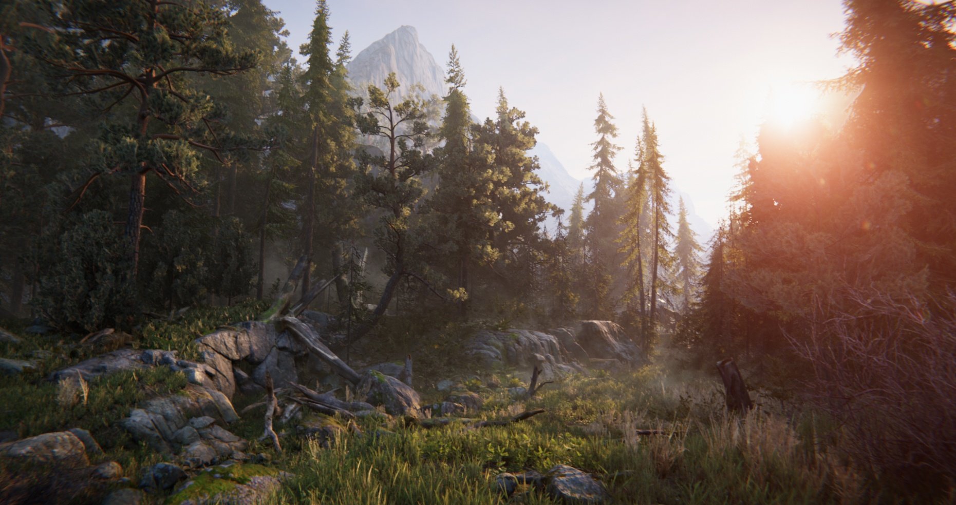 Unity HDRP