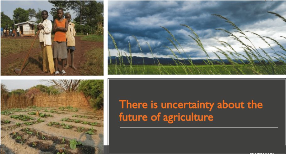 Robynne_A's tweet photo. It was a great honor to be part of the #DLEC conference put on by @IFPRI today. In an ever changing world it is important to keep talking about the importance of #foodsystems and ways in which we can continue to develop them. This is an exciting #agricultural moment in time! https://t.co/QJTGxYr3SW