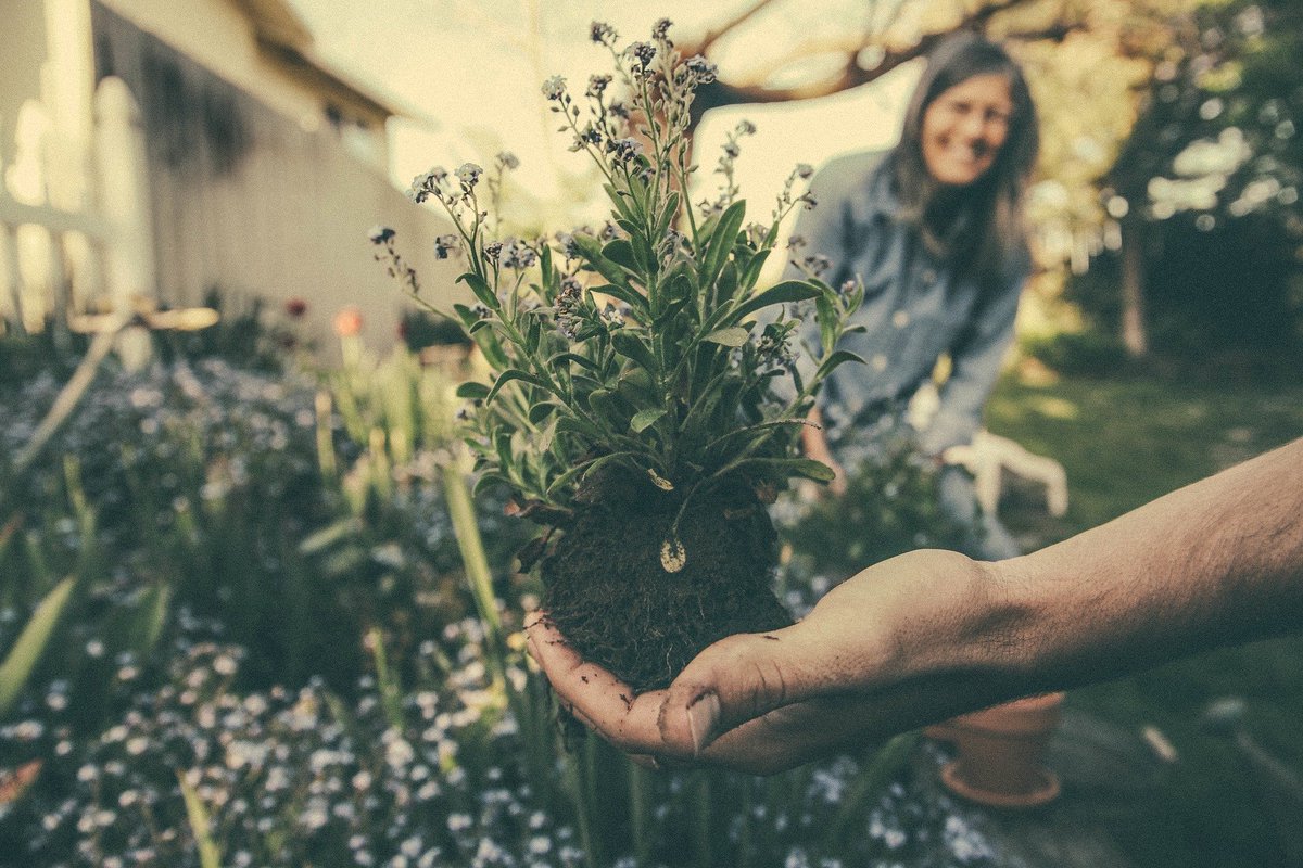 HibbsLawncare's tweet photo. Want to learn more about your backyard soil? Read more - 
https://t.co/ZR7bkAfU6c

#stlouis #soil #management #gardening #soilexperts https://t.co/PTK2lFg7QT