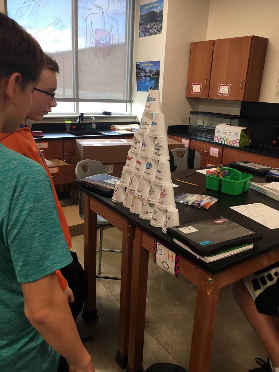 MitchScience's tweet photo. Building trophic level pyramids in class today. Investigating how energy flows. @VossMiddle https://t.co/uF8F5JHlIK