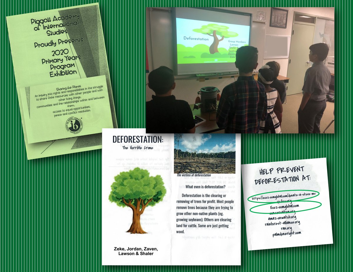 Spoke to students at Piggott Academy of Intl. Studies in Vegas about deforestation and my experience in Kenya working with <a href="/ecozoomstove/">EcoZoom</a> . The students used the information &amp; products I left them for their PYP school project. #deforestation #education #ecofriendly #donateastove
