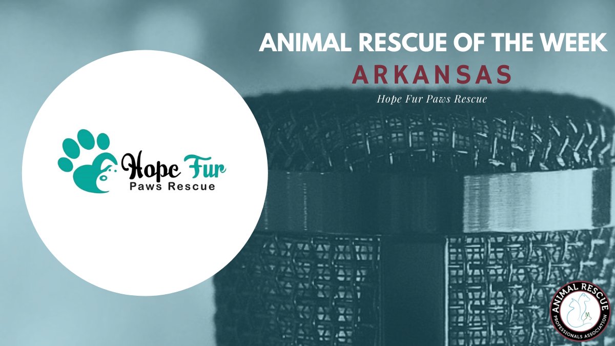 ARPA_Group's tweet photo. Hope Fur Paws Rescue is a new 501c3 nonprofit animal rescue. In their first year, they have adopted out over 60 dogs and 30 cats. https://t.co/fQDowt359K https://t.co/7LmfsIYS5v