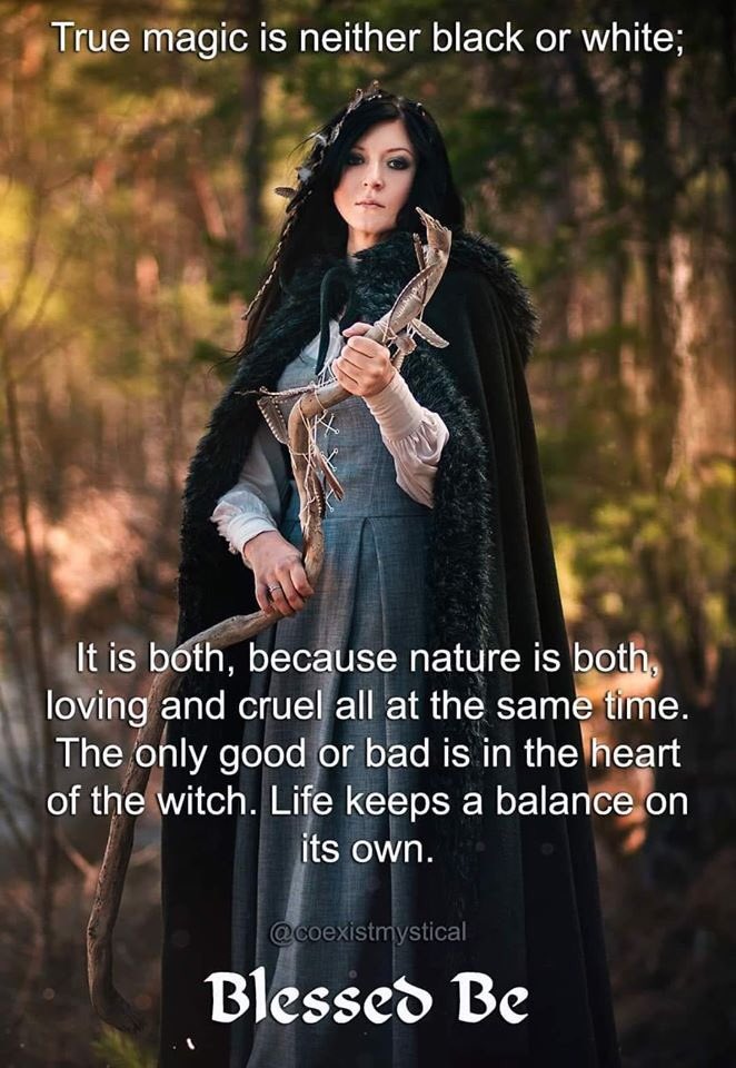 Aphoena (Witch with a paranormal touch) tweet media