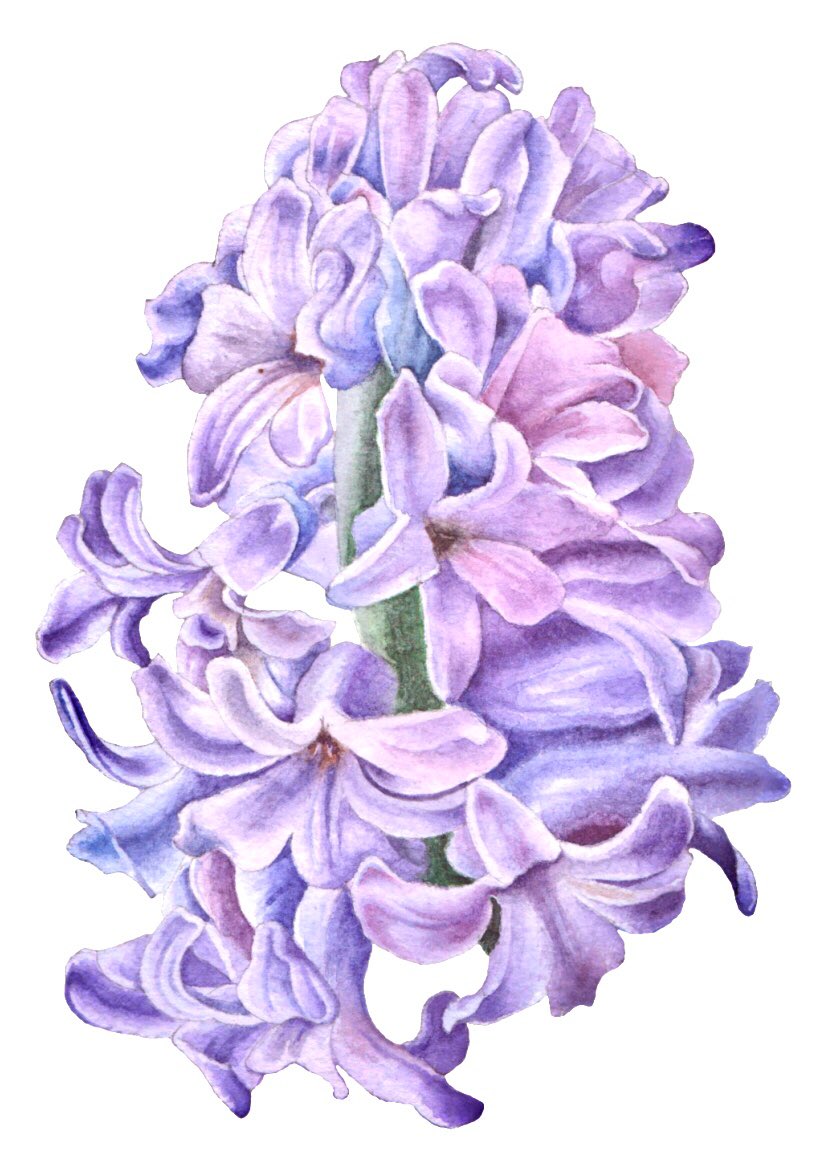 FloristFriend tweet picture