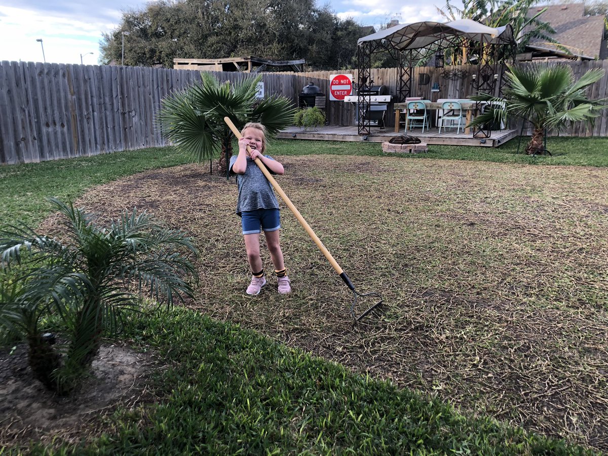 donslawns1's tweet photo. Testing out a plain old garden rake on the stolons, let’s see how this goes!
#rake #daughter #girldad #daddyshelper #stolons #staugustinegrass #staugustine #bermudagrass #bermuda #lawn #lawncare #project #lawncarenut #youtube #youtuber #youtubecreator #youtubechannel #donslawns https://t.co/FIzdBnmWb8