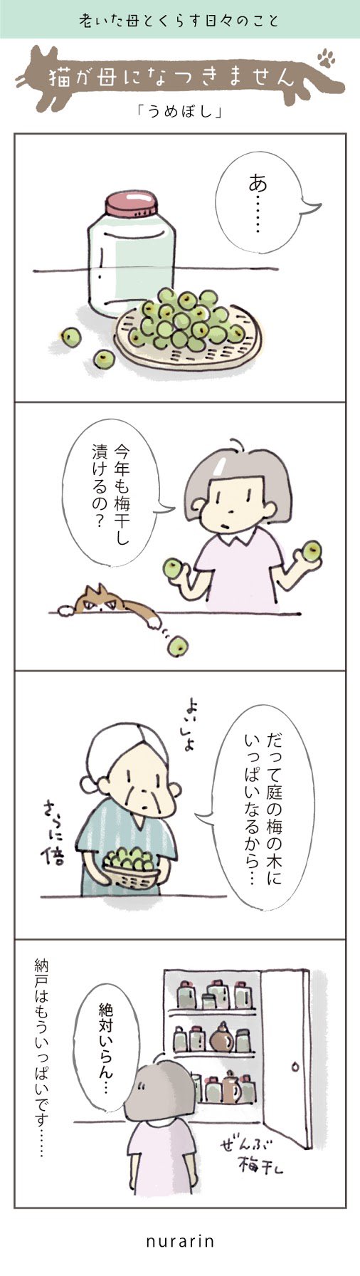 猫が母になつきません 老いた母と暮らす日々のこと Twitter