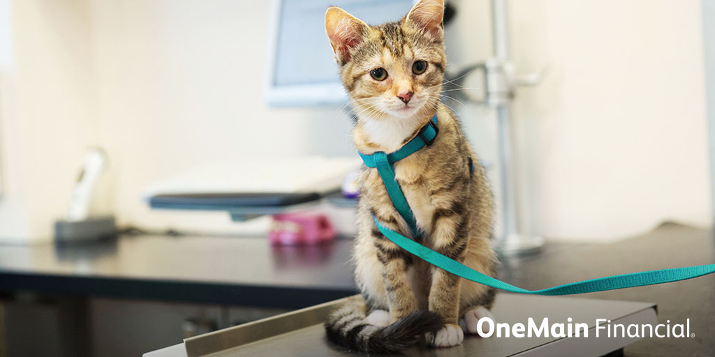 OneMain Financial tweet media