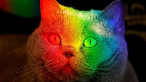 #Colores y #sentidos: ¿cómo percibimos las tonalidades psicológicamente? #psicologia bit.ly/3aipuRM