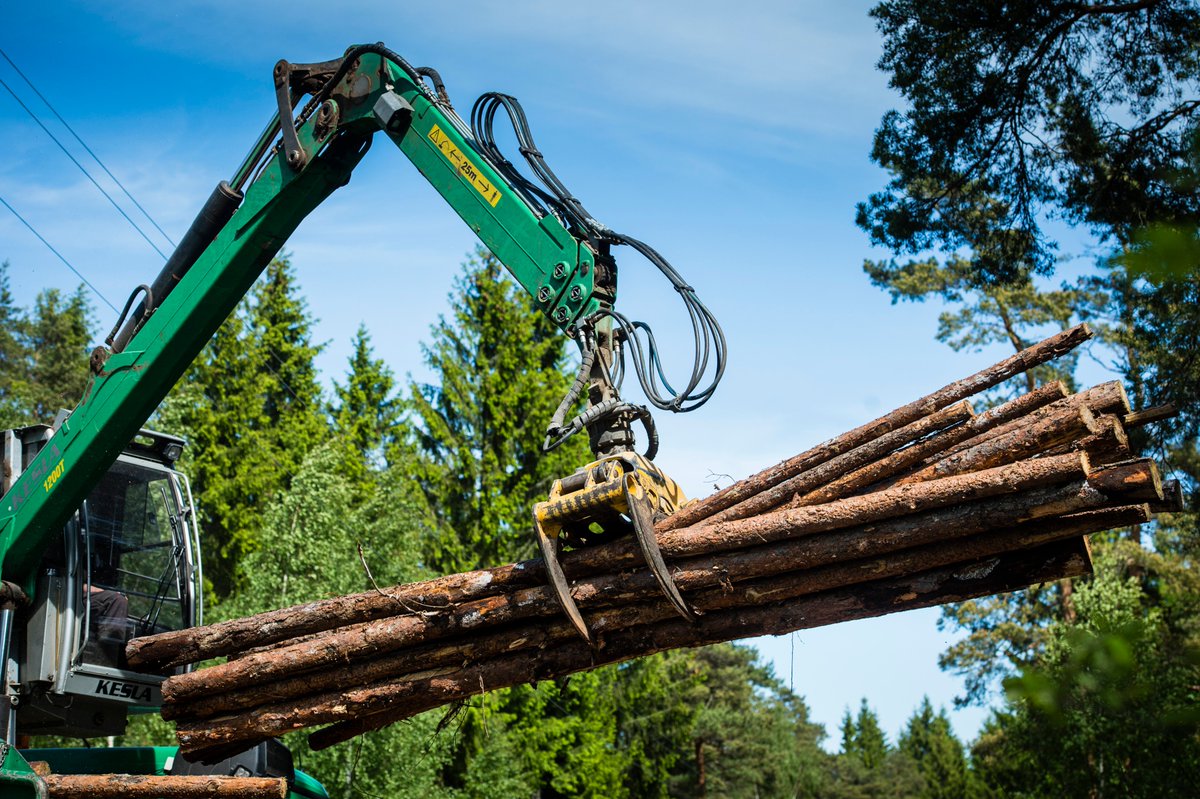 TRMBForestry's tweet photo. Coillte Selects Trimble Forestry’s Connected Forest™ Logistics platform for the provision of Transport Planning Management Services. 

#trimble #connectedforest #forestry #trimbleforestry #logistics #transportplanning #logisticssolution https://t.co/rw7rI0Mkzw