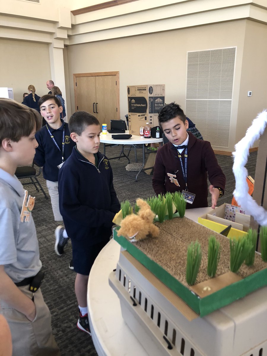 Cheri Morelli tweet media