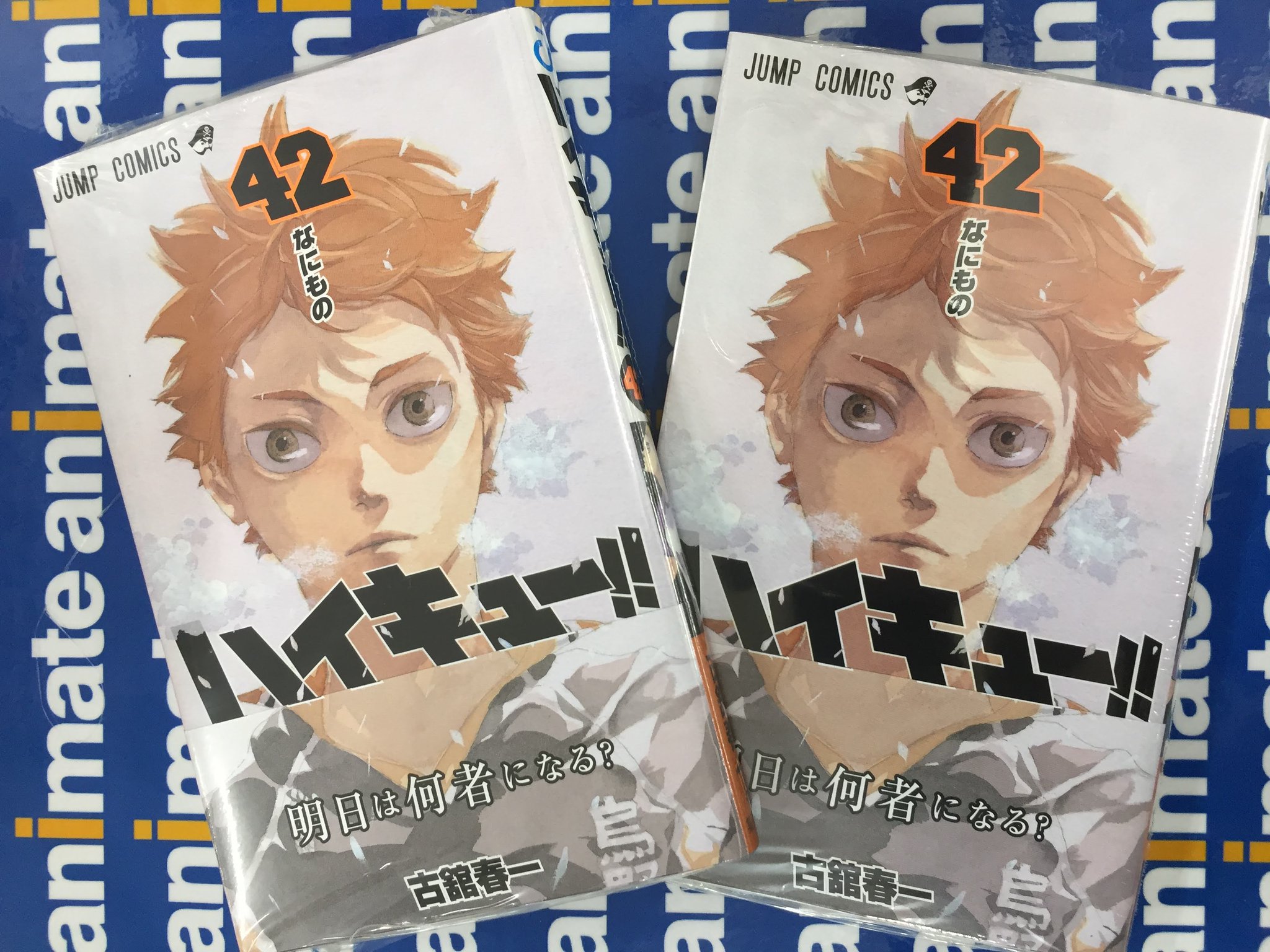 アニメイト三宮 プレミアム電子商品券販売中 書籍情報 呪術廻戦 10 ハイキュー 42 大好評発売中です その他にもジャンプコミックス新刊大量入荷しております 皆様のご来店 お待ちしております アニメイト三宮 プレミアム電子商品券販売中 書籍情報 呪術廻戦 10 ハイキュー 42 大好評発売中です その他にもジャンプコミックス新刊大量入荷しております 皆様のご来店 お待ちしております