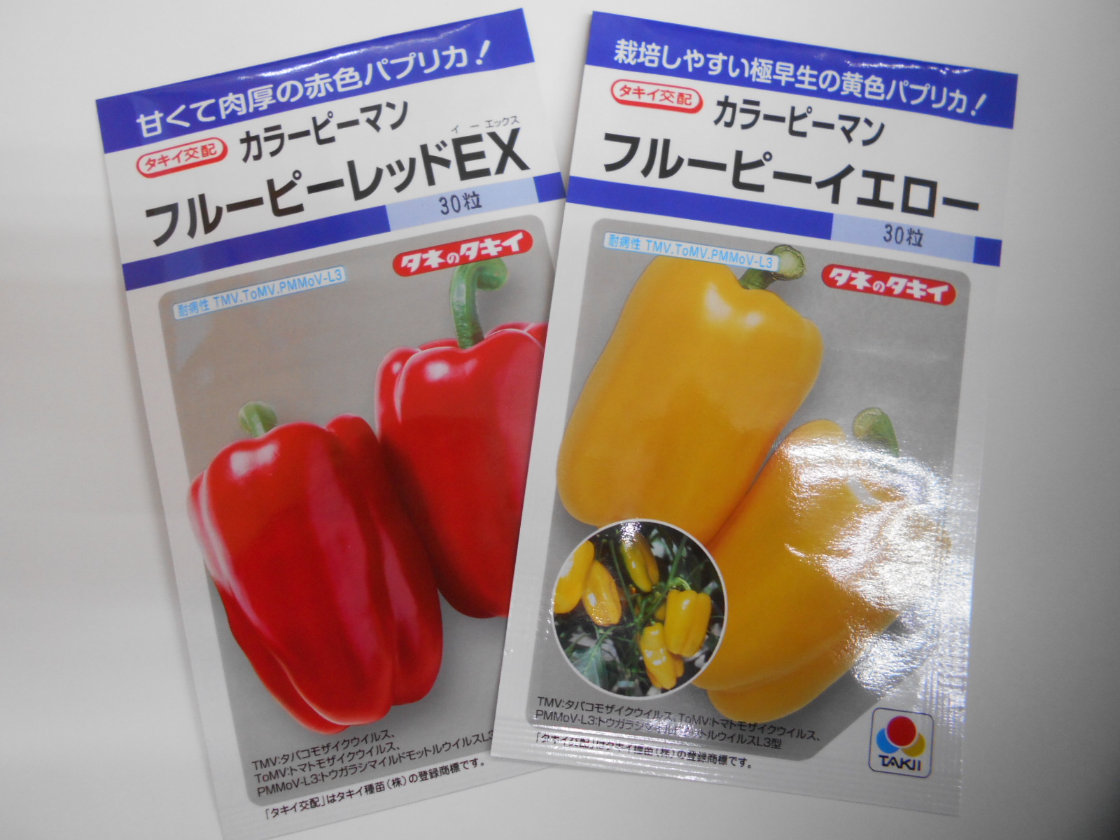 ｂｉｇ ｆ 春の種まきはピーマンから 廃車ハウスの花苗を植えなければ ピーマン タネのタキイ タキイ