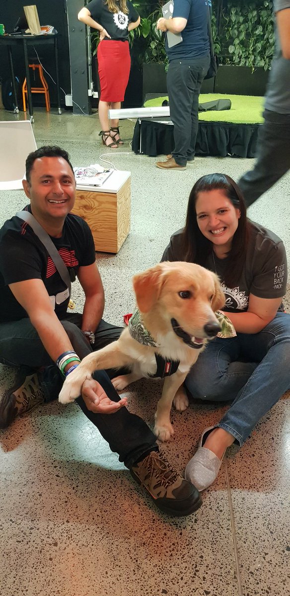 amysticgirl's tweet photo. @Mr_Madness @MUVTalks @Colart @PauliSosa @GridAKL @Auckland_NZ Can't agree more...our #socialpooch loved all the aroha towards him even though his attention during the talks was definitely on the #cookie ππͺπΆ #muvtalks #petfriendly #gridakl #communityconnecters https://t.co/jkdVrW2v1S