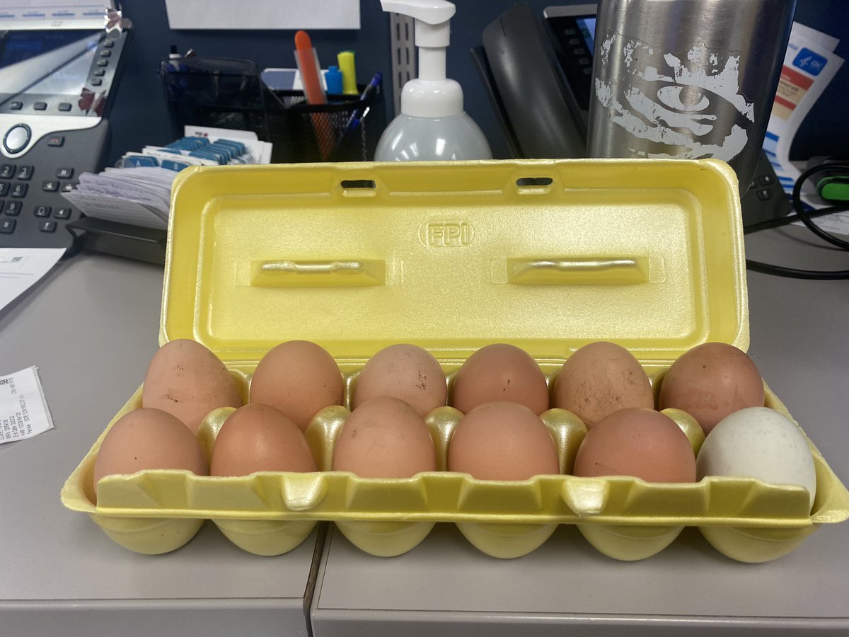 A patient brought me some yard eggs this morning. Her reasons was, “you look like you eat a lot of protein.”