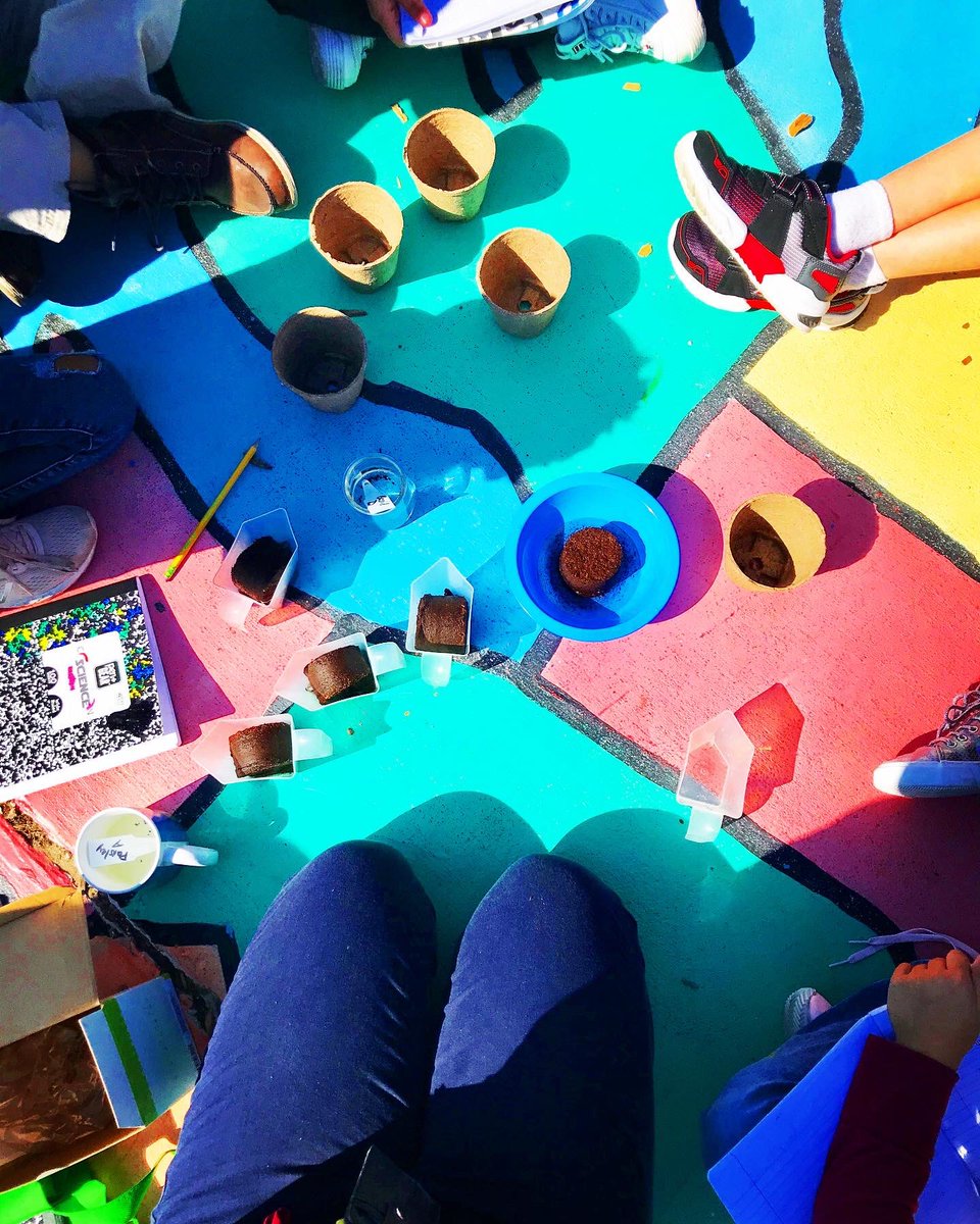 JillJohnsonSTEM's tweet image. I love using @ExploreLearning #GizmosLab with my #3rdgraders! Doing some real life vs. digital experiment plant investigations🌿
#edtech #handsonlearning #ScienceMatters